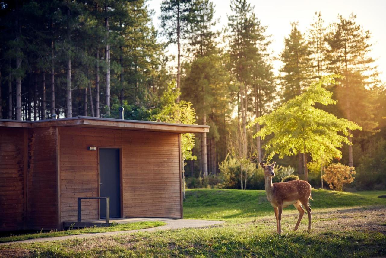 Center Parcs Le Bois Aux Daims Hotel Morton Exterior photo
