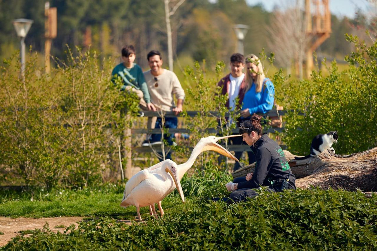 Center Parcs Le Bois Aux Daims Hotel Morton Exterior photo