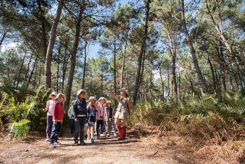 Center Parcs Le Bois Aux Daims Hotel Morton Exterior photo